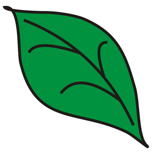 Tree leaf clip art clipart