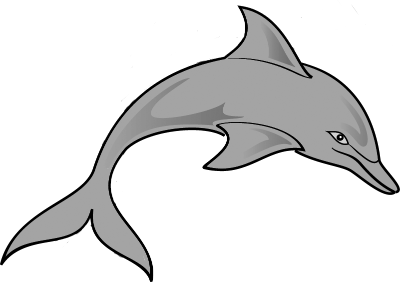 Dolphin clipart clipart