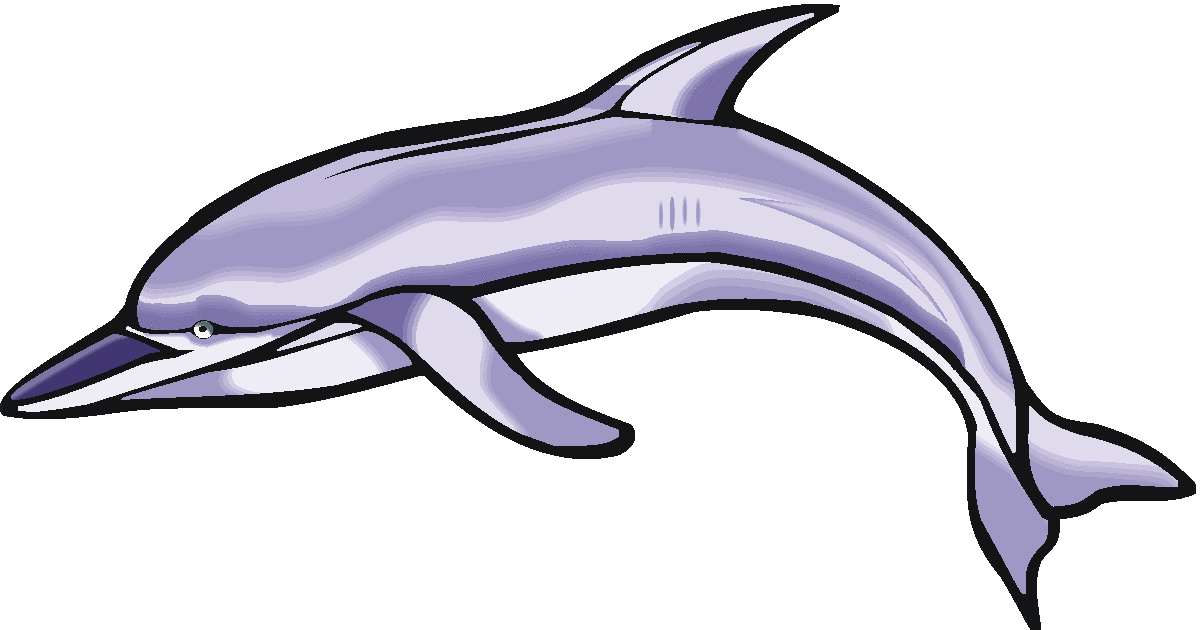 Free dolphin clipart 3
