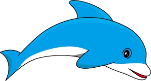 Free dolphin clipart