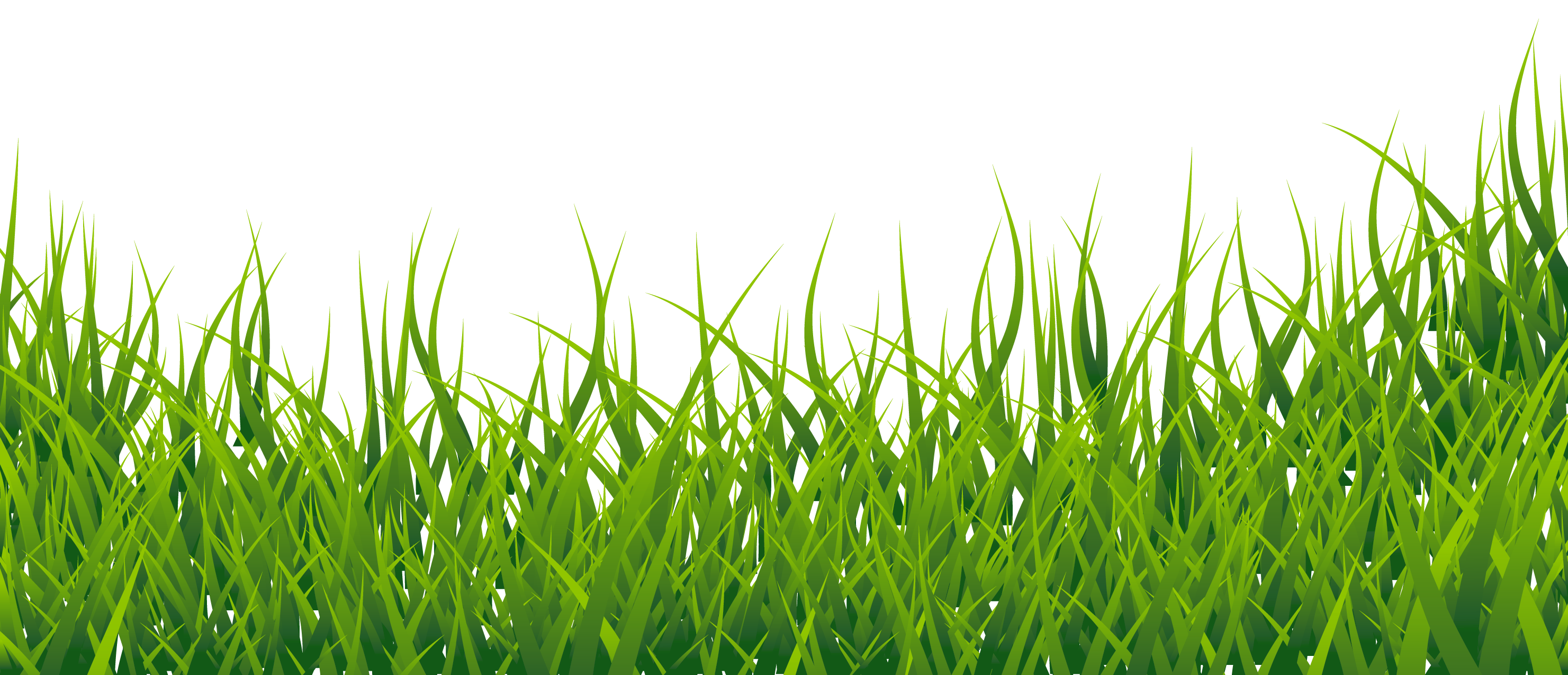 Grass clipart picture 0