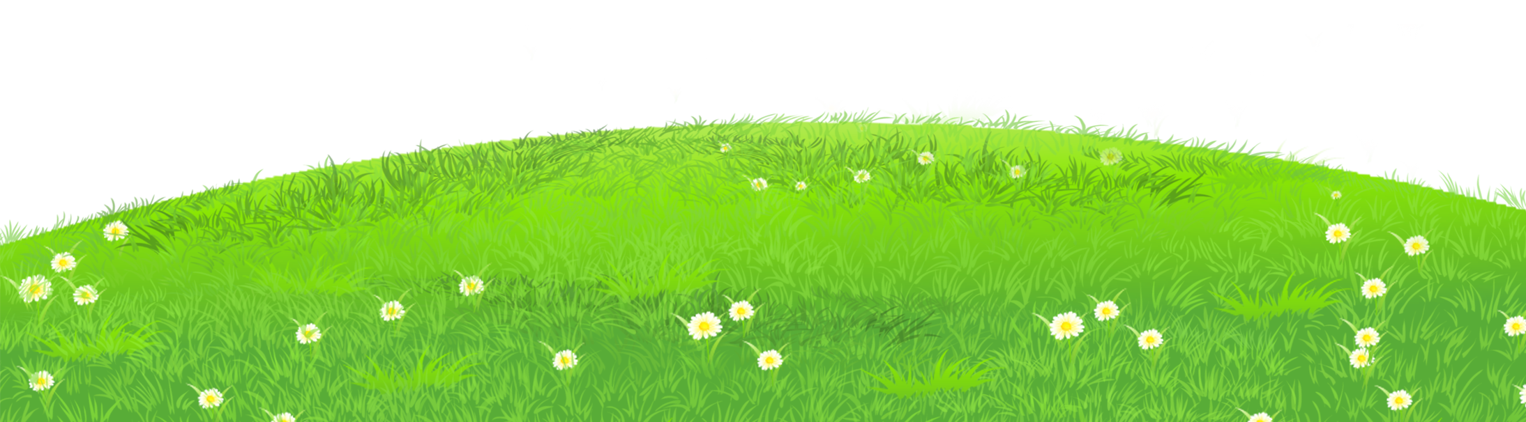 Grass with daisies clipart 0