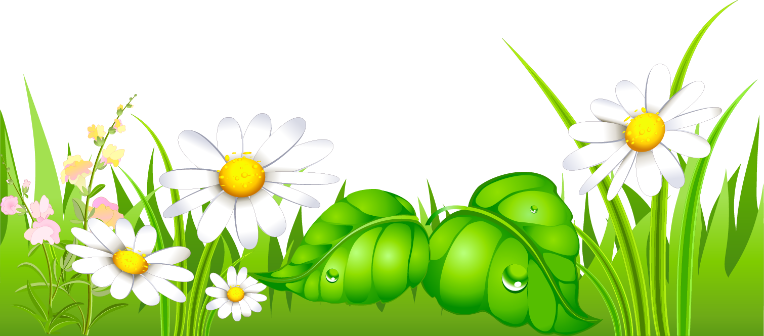 Grass with daisies ground clipart 0