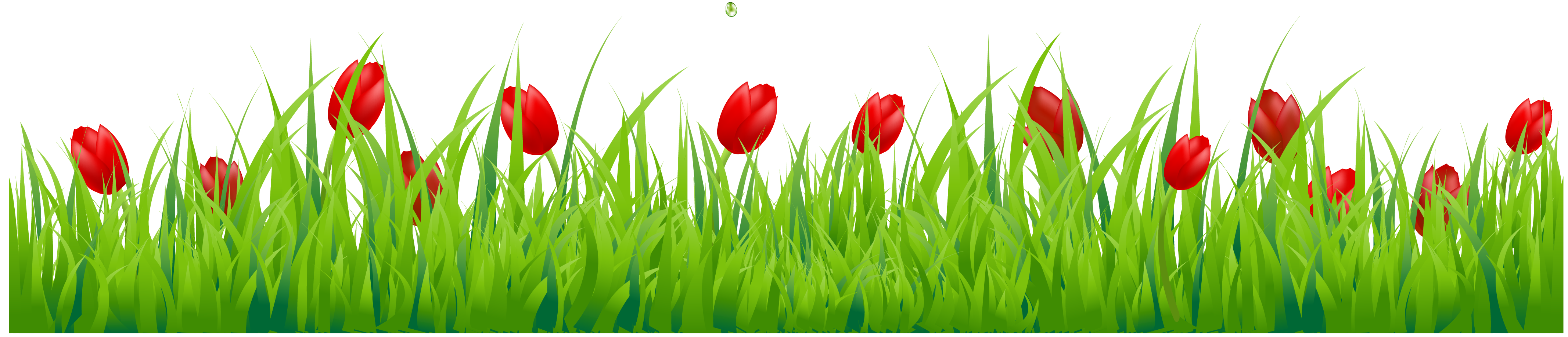 Grass with red tulips clipart 0