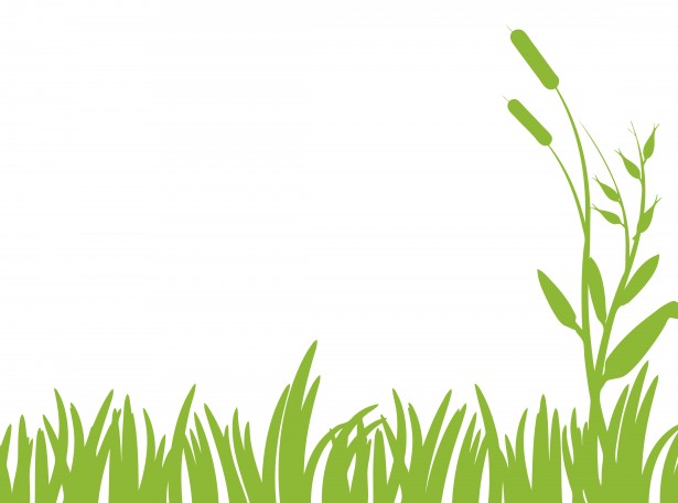 Green grass clipart free stock photo public domain pictures