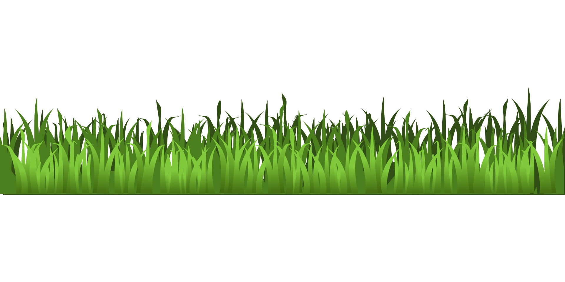 Meadow green grass clipart isolated stock photo by