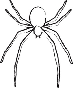 Spider clipart image clipart illustration of a spider outline