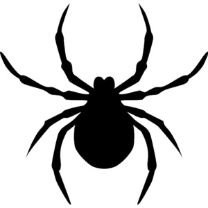 Spider pics facts funny stuff about animals  clipart