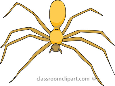 Spider search results search results for arachnids pictures graphics clipart