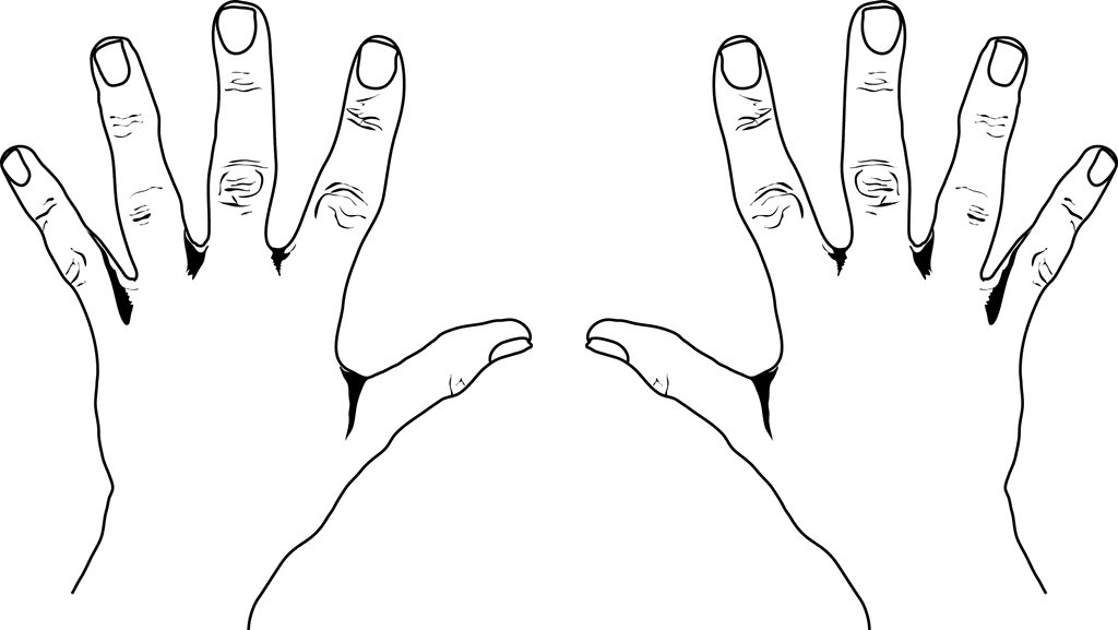 Top of hand clipart