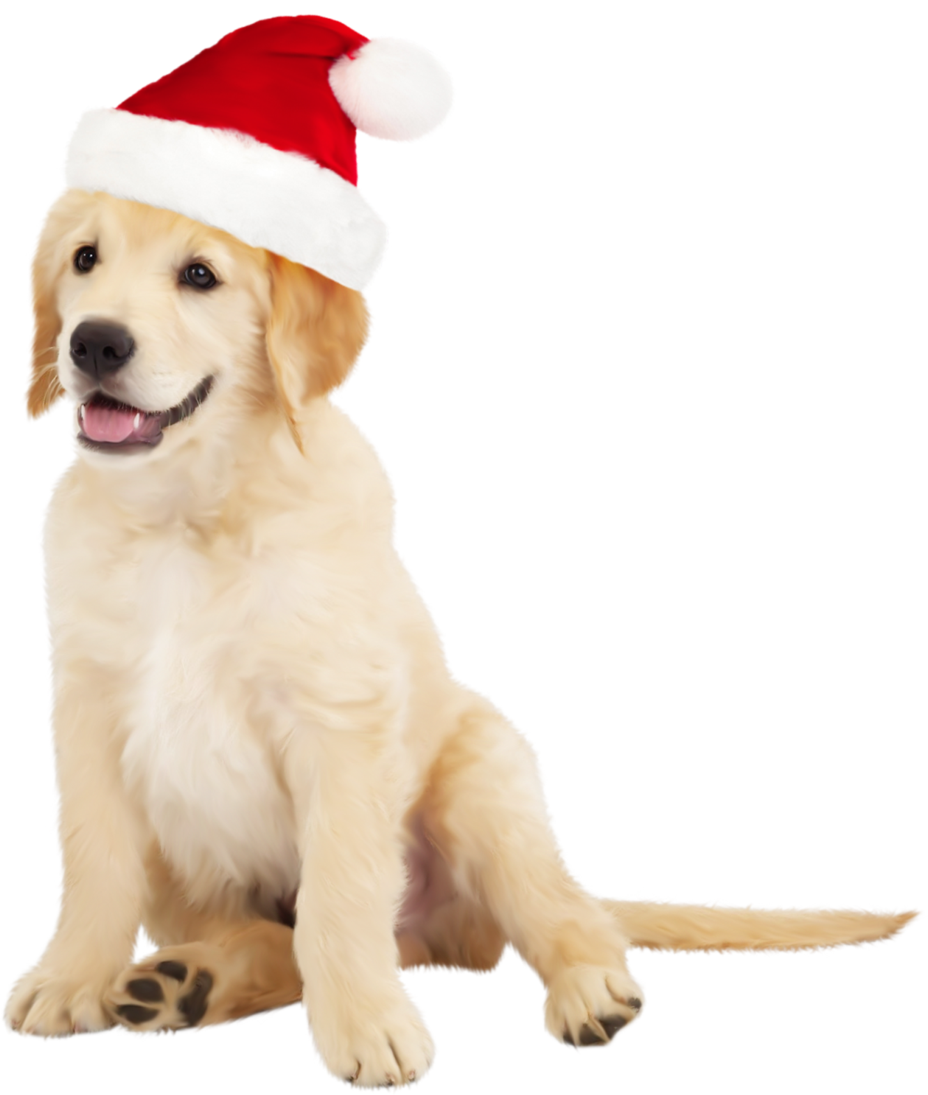 Cute dog with santa hat clipart the clipart