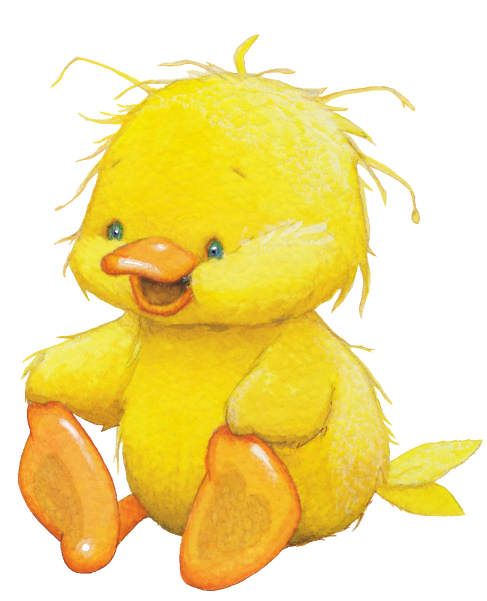 Cute little duck cute ducks animales and clipart