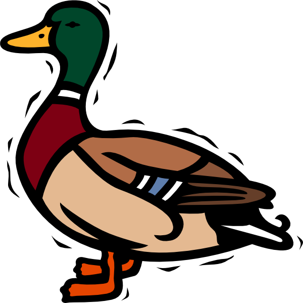 Duck clipart free clipart 