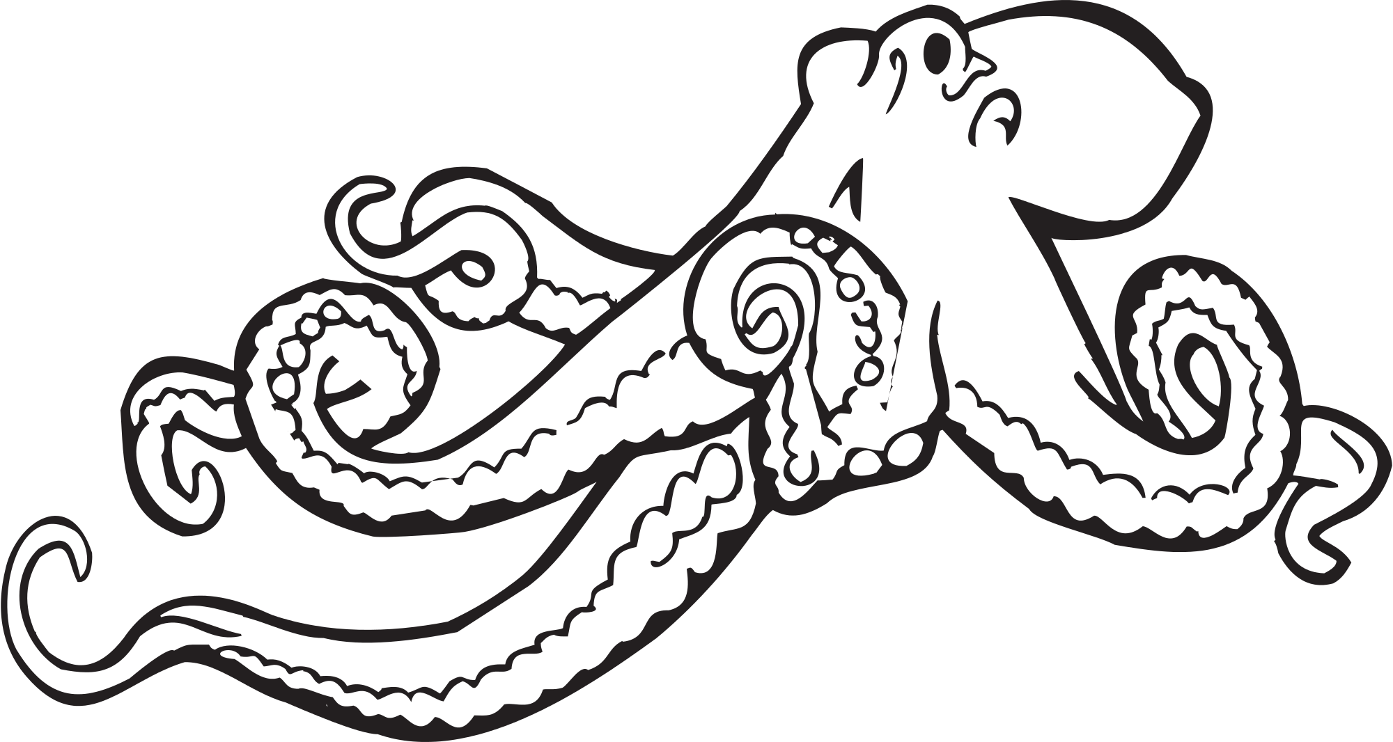 File octopus clipart svg commons