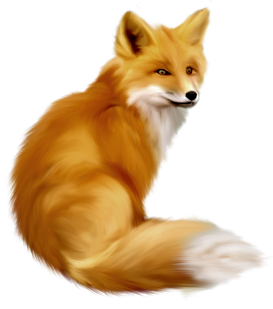 Painted fox clipart 0
