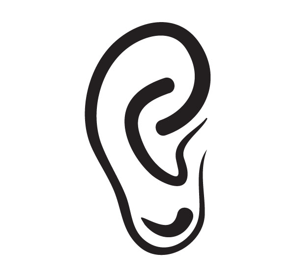 Ear anatomy clip art for custom medical products 