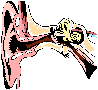 Ear infections clipart clipart
