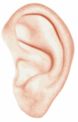 Human ear clip art free vector in open office drawing svg svg