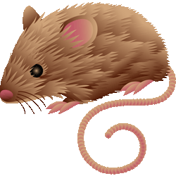 Rat mouse clipart images icons free graphics