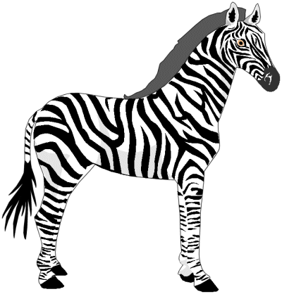 Clip art zebra clipart