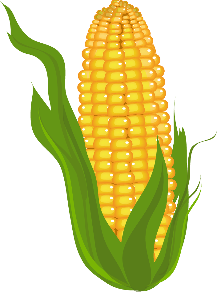 Corn clip art 