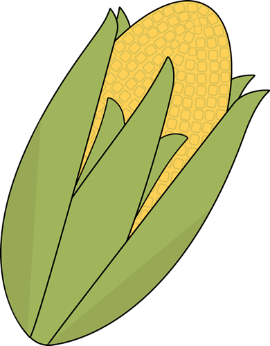 Ear of corn clip art ear of corn image