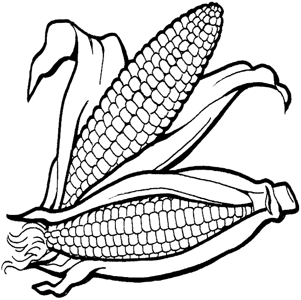 Free coloring pages of corn clip art