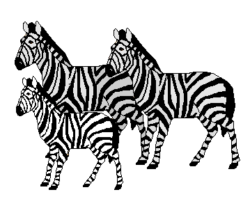 Zebra clip art family of three zebras 1 three zebras