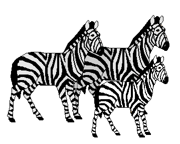 Zebra clip art family of three zebras 2 clip art of zebras