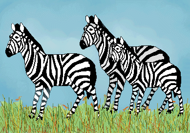 Zebra clip art zebra family and blue sky 1