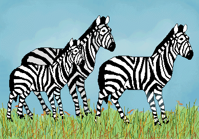 Zebra clip art zebra family and blue sky 2