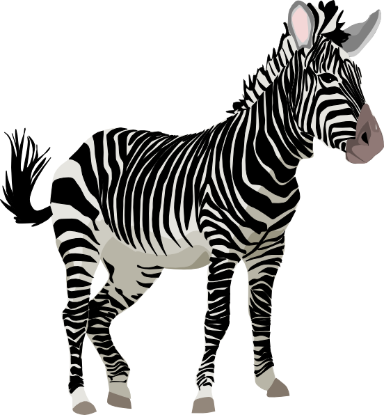 Zebra clip art 