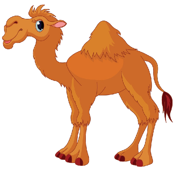 Camel cartoon clipart 3 height 