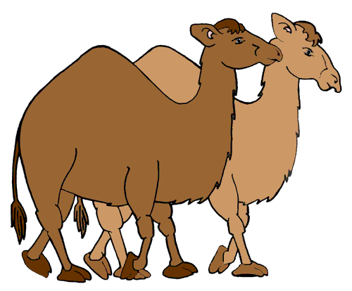Camel clip art clipart
