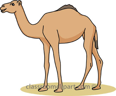 Camel clipart 3
