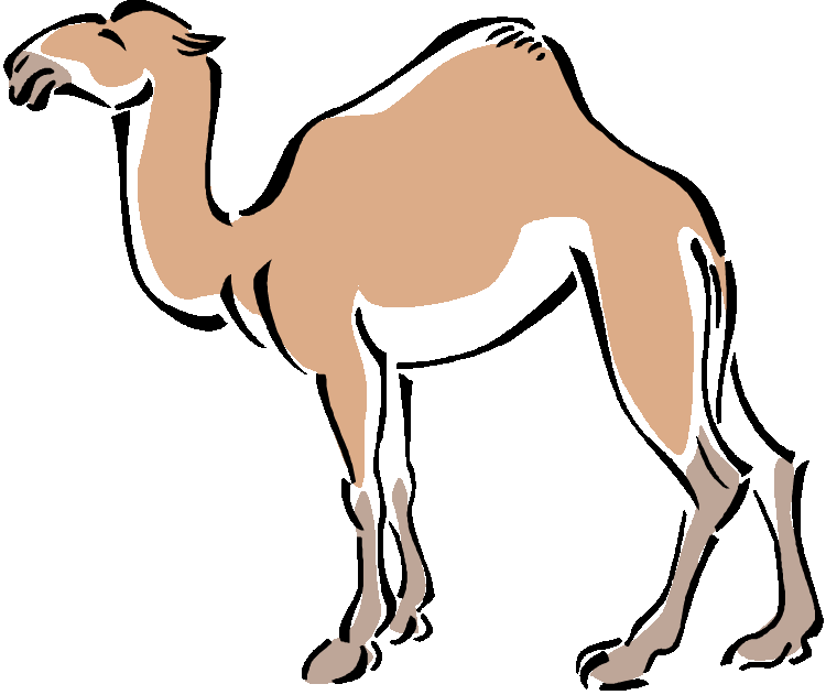 Camel desert clipart cliparthut free clipart