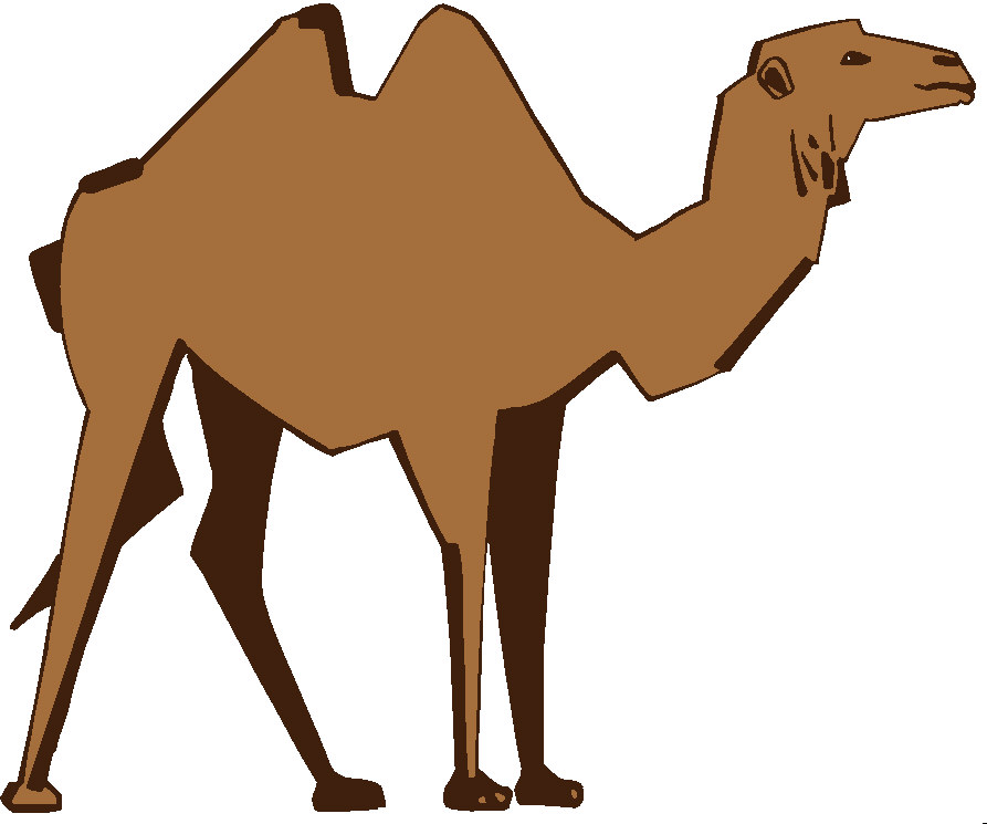 Camel graphics and animated s clip art