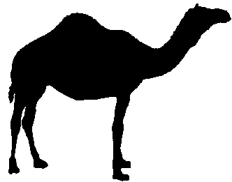 Clip art camel clipart