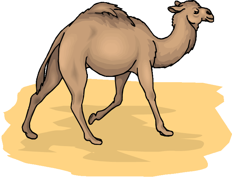 Free camel clipart