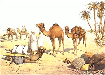 Free camels clipart free clipart graphics images and photos 2