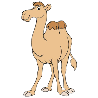 Funny camel images clipart free clip art images