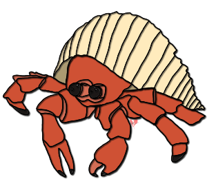 Hermit crab clip art clipart