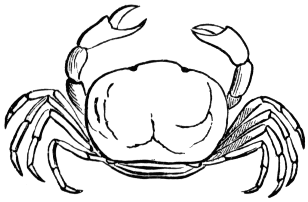 Oyster crab clipart etc