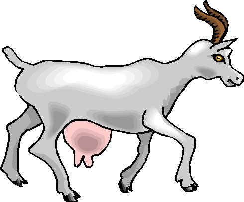 Boer goat clip art 5