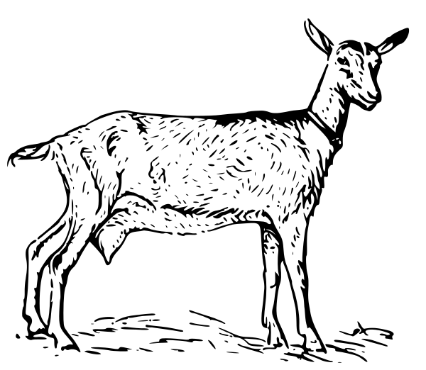 Free goat clipart 1 page of free to use images 2