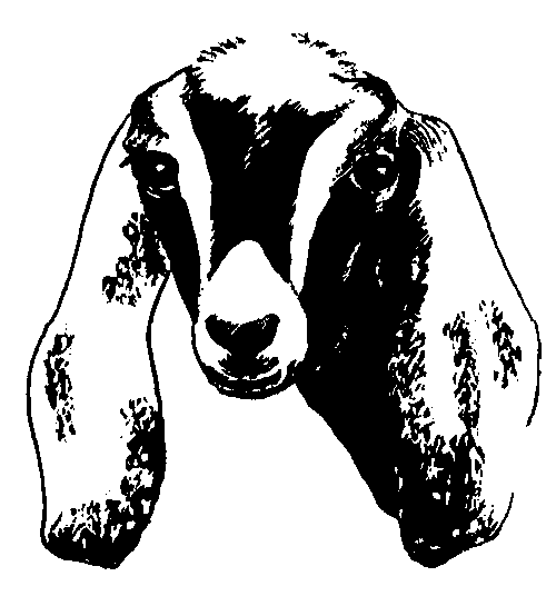 Goat clip art articles