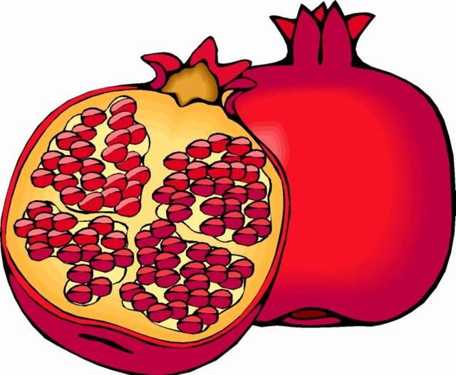 Pomegranate fruit clipart