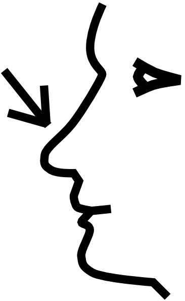Nose clipart