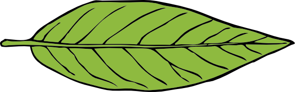 Leaves clip art 