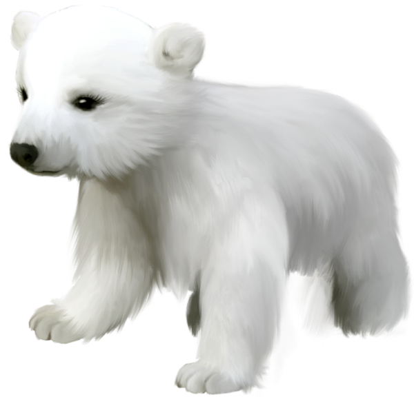 Cute small polar bear clipart